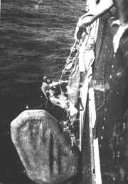 Pilot Rescue-2.jpg (53399 bytes)